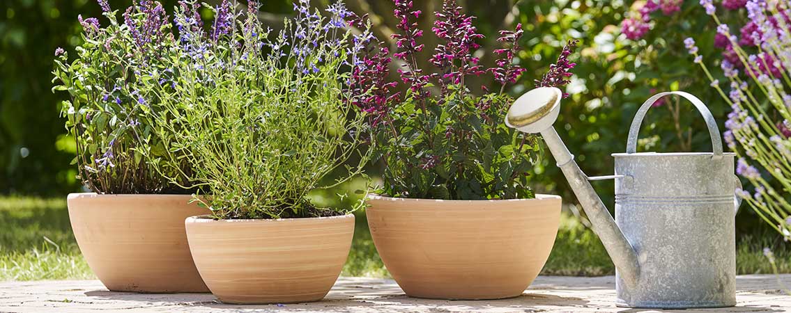 Pots et bacs