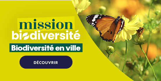 Biodiversité en ville
