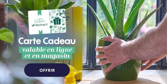 Carte Cadeau