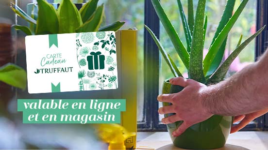 Carte cadeau Truffaut