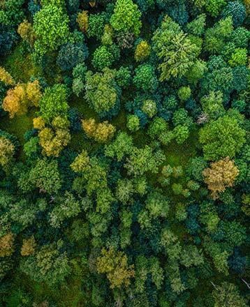 Notre trajectoire de décarbonation