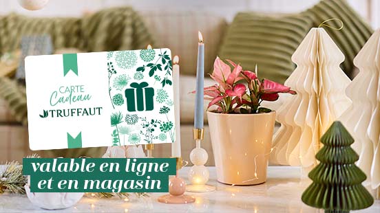 Carte cadeau Truffaut