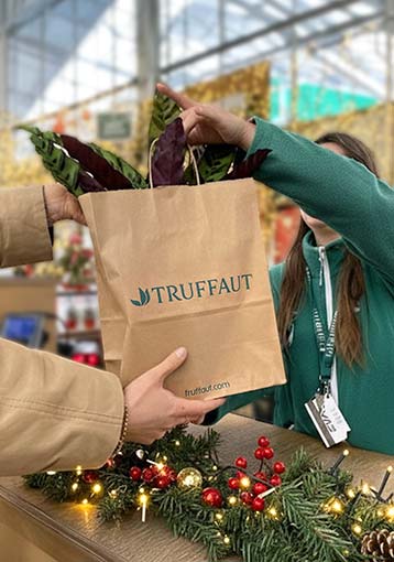 Retrait en magasin GRATUIT