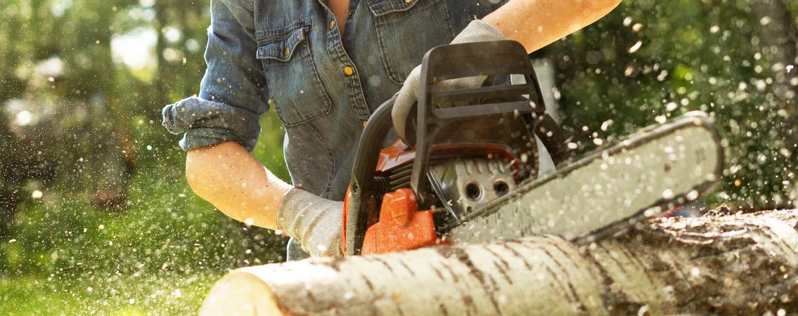 Tronçonneuses