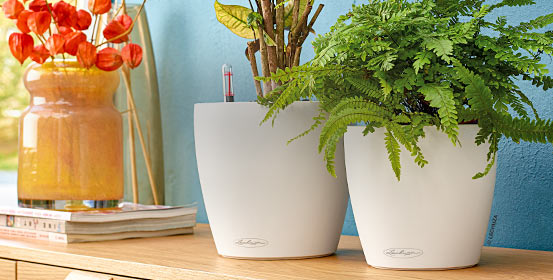 Pots à réserve d'eau