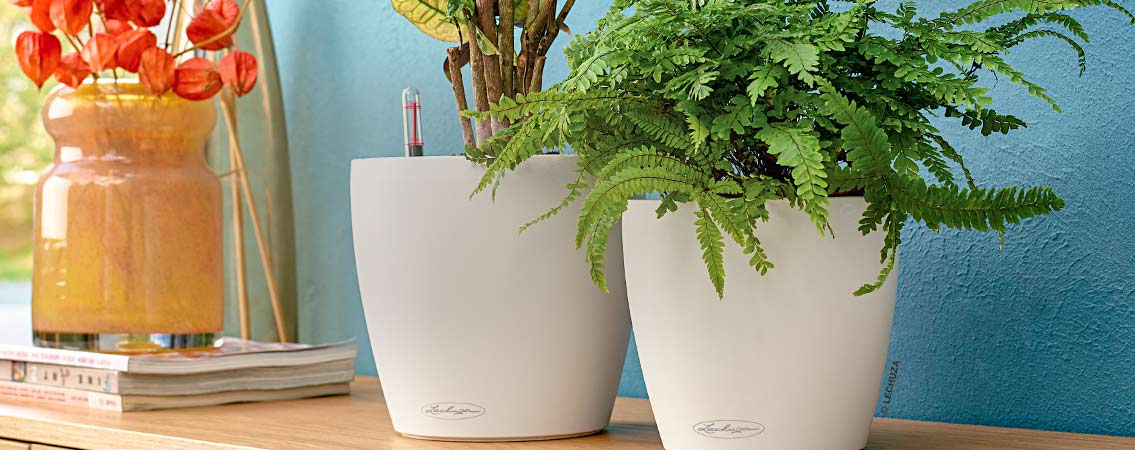 Pots à réserve d'eau