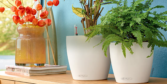 Pots à réserve d'eau