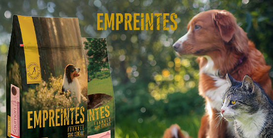 Croquettes chiens et chats