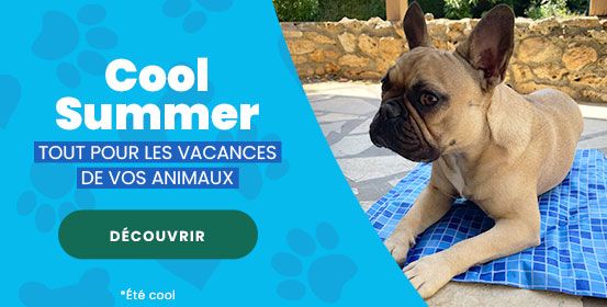 Cool summer Cool summer