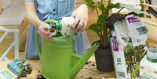 Engrais plantes d'intérieur