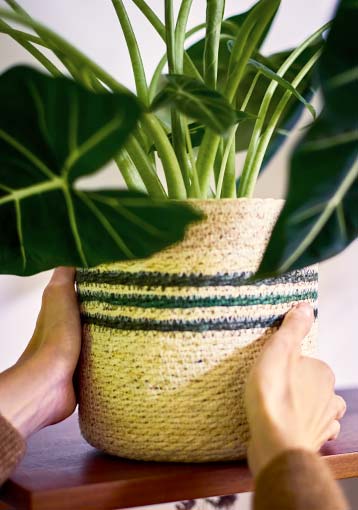 Choisir un cache-pot