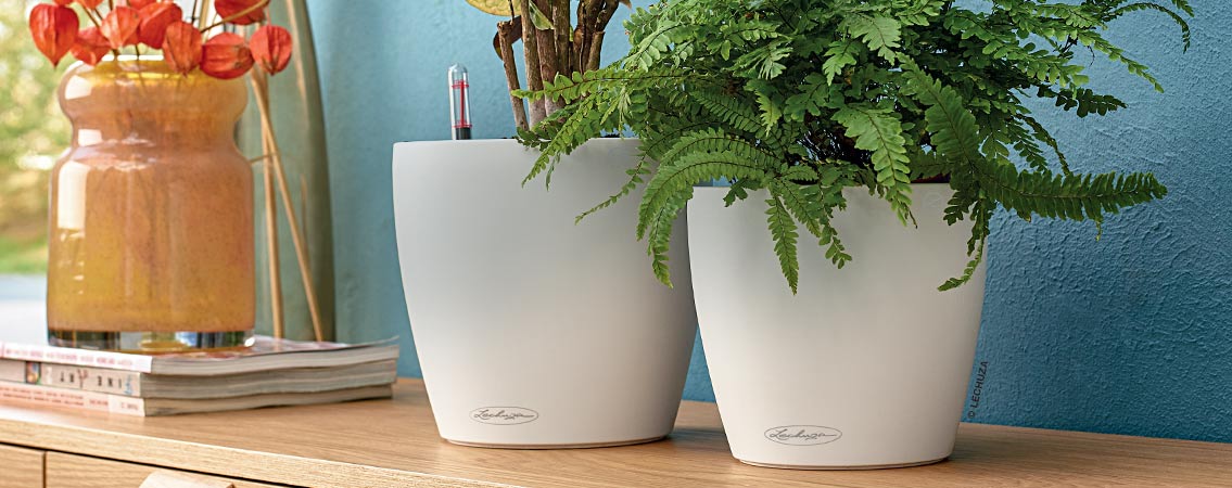 Pots à réserve d'eau