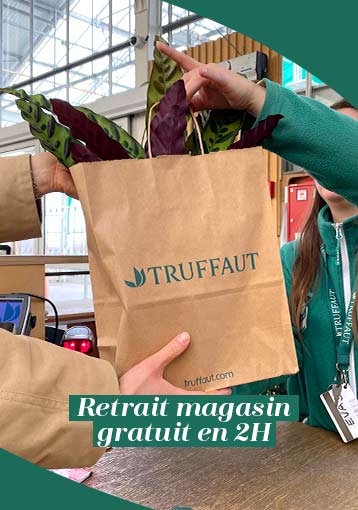 Retrait en magasin GRATUIT