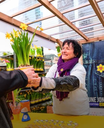 Truffaut et l'Institut Curie : Une jonquille contre le cancer