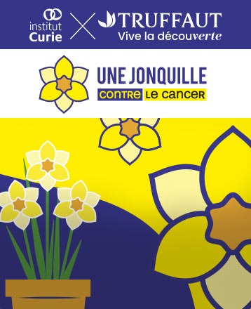 Une jonquille contre le cancer