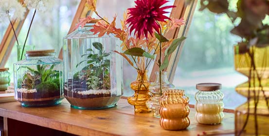 Décoration de la maison