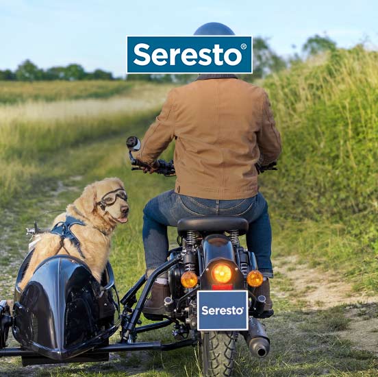 Collier antiparasitaire externe