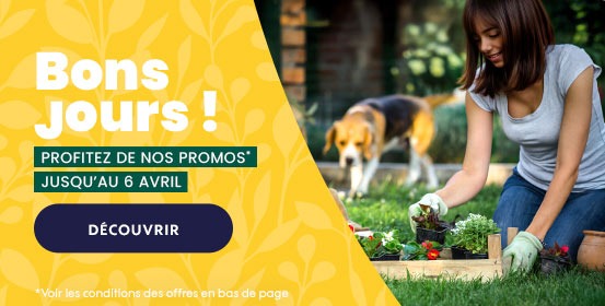 Dépliant Offre promo