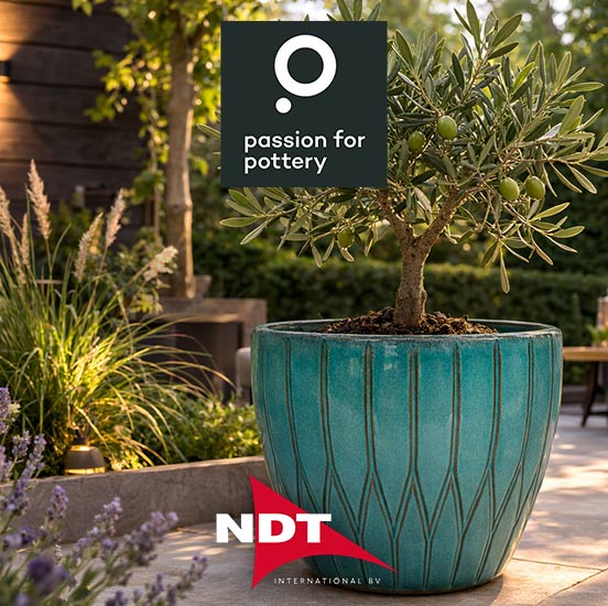 Découvrez la gamme exclusive SAGA !