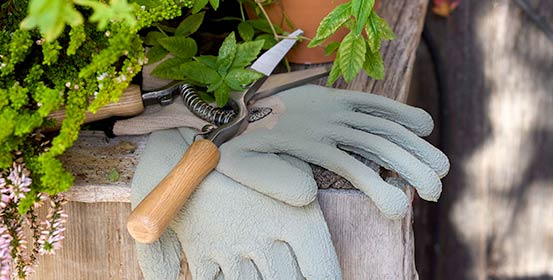 Outils de coupe
