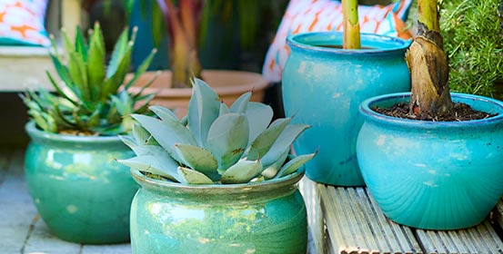 Pots