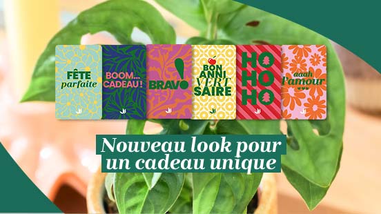 À chaque occasion sa carte cadeau