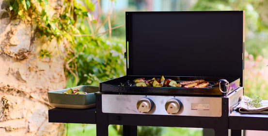 Barbecues et planchas