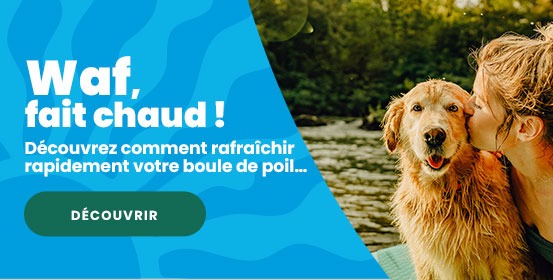 Waf fait chaud !