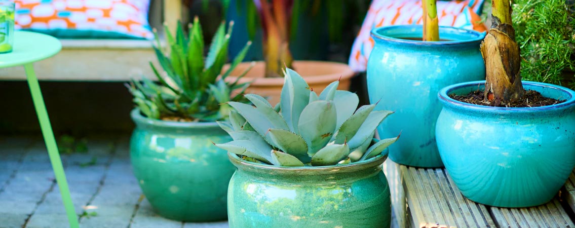 Pots en terre-cuite