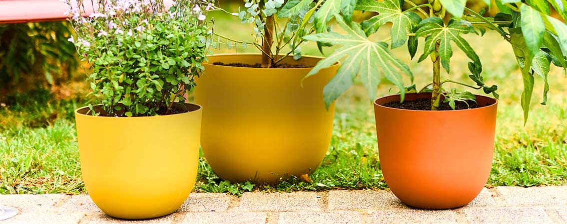Pots en plastique