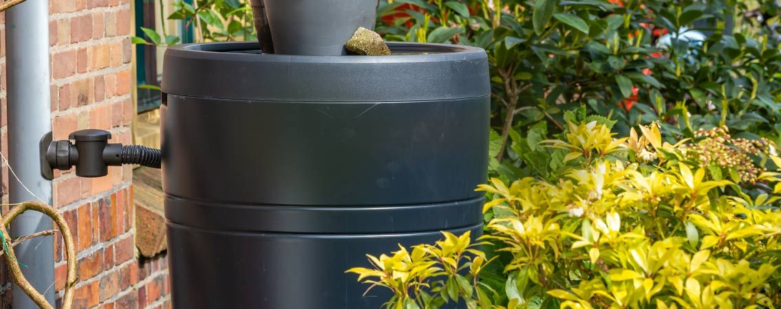 Récupérateurs d'eau
