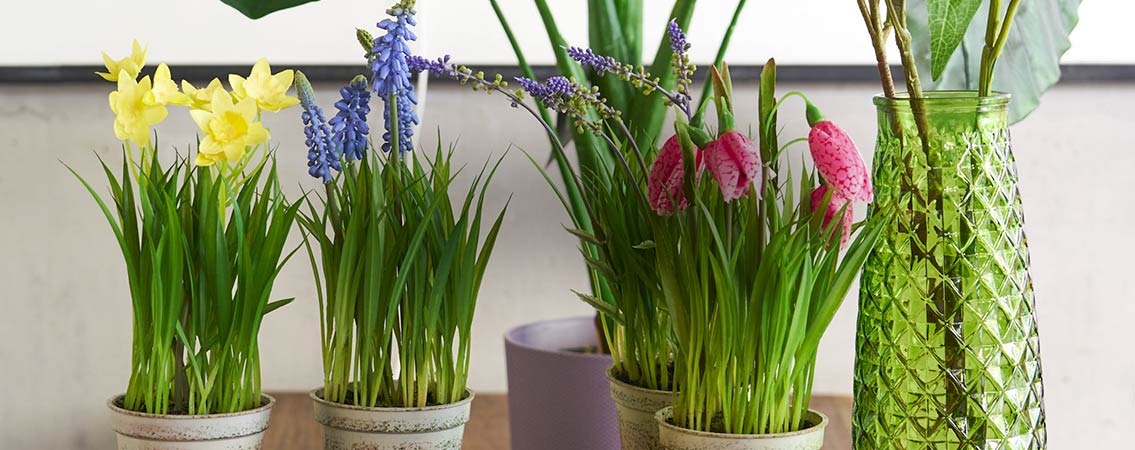 Fleurs artificielles