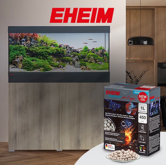 SUBSTRAT pro+O2xygen : améliorez l'eau de votre aquarium