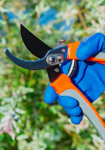 4 outils de jardinage indispensables