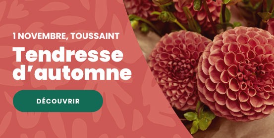 Toussaint Toussaint