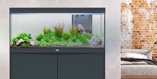 Aquariums et Meubles