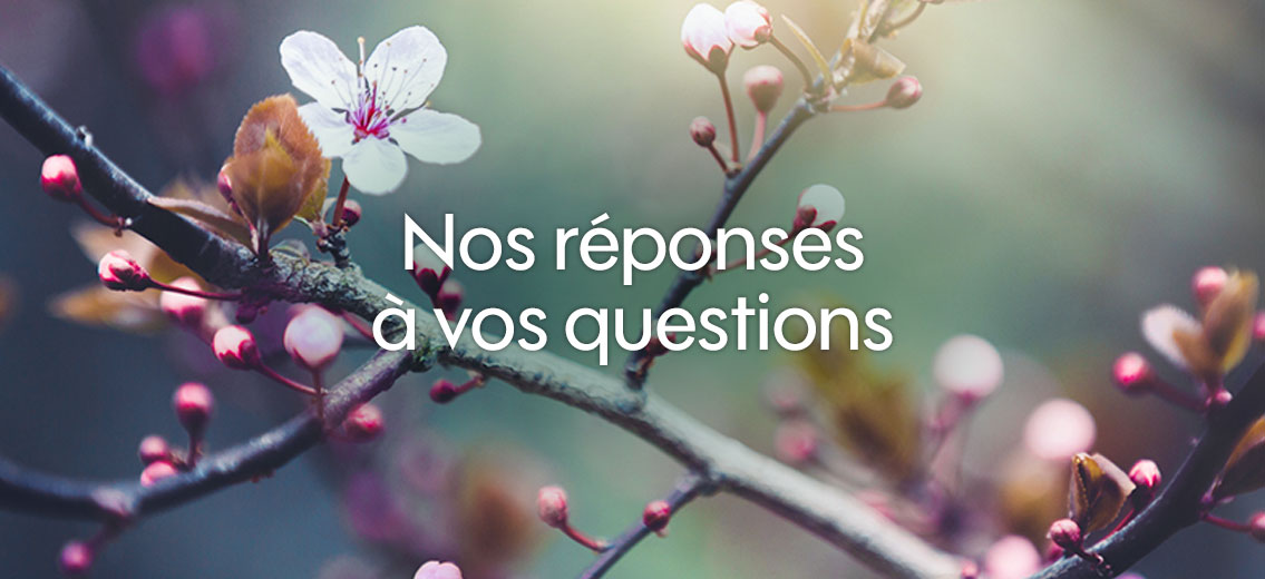 foire aux questions