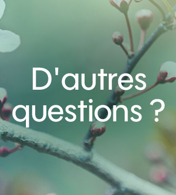 D'autres questions ?
